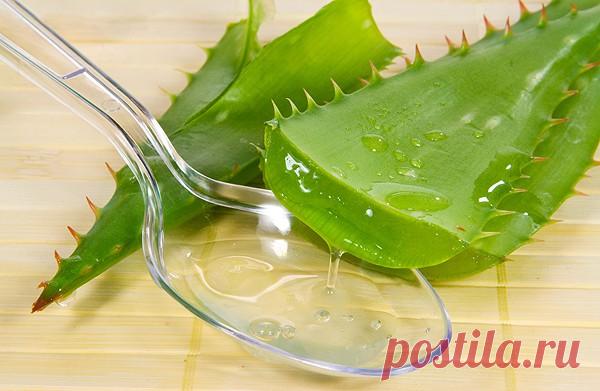 Женский журнал