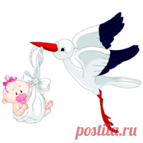 Stork Carrying Baby Girl - Cute Baby And Animal Pictures