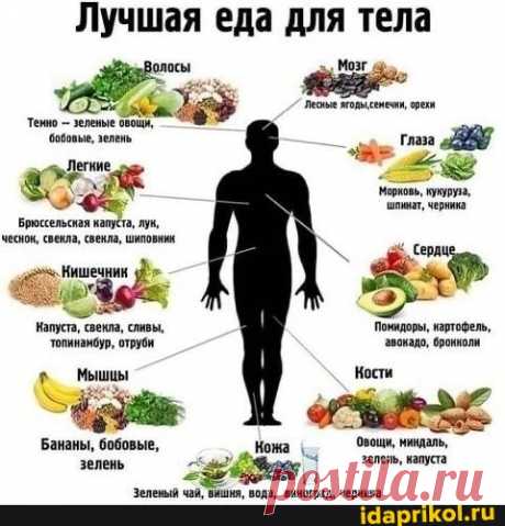 Лучшая еда для тела Мозг Тен - зиленые ов глаза лот, Брюссельская капуста, лук, ческо венль свела, шипови Сердце Кишечник Напуста, свенла, сливы, Помидоры, картофель, Напуста, свенла, сливы, топинамбур, отруби звокадо, бронколи Мышцы Кости Бананы, бобовые, Кома овощи, ниндаль, зелень зелень, капуста Зеленый чай, вишня, вода, виноград, черника - ) / АйДаПрикол .)