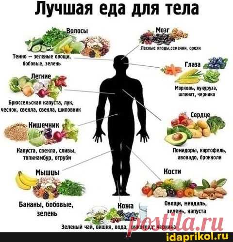 Лучшая еда для тела Мозг Тен - зиленые ов глаза лот, Брюссельская капуста, лук, ческо венль свела, шипови Сердце Кишечник Напуста, свенла, сливы, Помидоры, картофель, Напуста, свенла, сливы, топинамбур, отруби звокадо, бронколи Мышцы Кости Бананы, бобовые, Кома овощи, ниндаль, зелень зелень, капуста Зеленый чай, вишня, вода, виноград, черника - ) / АйДаПрикол .)