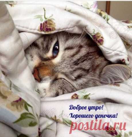 Необычные позитивные картинки доброе утро (117 картинок) - ФУДИ