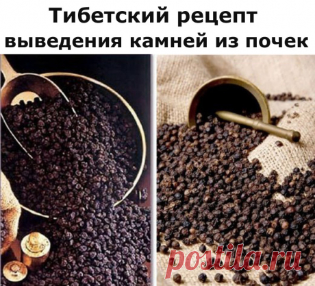 Тибетский рецепт выведения камней из почек

Перечница стоит у нас на каждом столе. Но далеко не каждый знает,  что на Востоке черный перец считается энергетическим продуктом и используется при лечении многих заболеваний, в частности, для выведения камней из почек.

Родиной этой знаменитой пряности -черного перца-является Индия. Горошинки черного перца-это  высушенные незрелые плоды вечнозеленой лианы, произрастающей исключительно в тропиках.

По сведениям врачевателей древ...