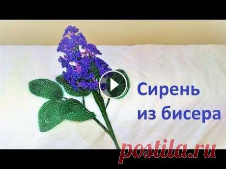 Как сделать СИРЕНЬ своими руками / СИРЕНЬ ИЗ БИСЕРА / Мастер-класс Мастер-класс: Как сделать веточку сирени из бисера. Tutorial: How to make a Lilac of beads Для плетения сирени из бисера нам потребуется: -Бисер -Пров...
