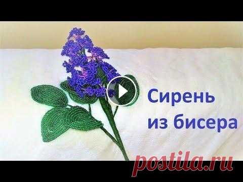 Как сделать СИРЕНЬ своими руками / СИРЕНЬ ИЗ БИСЕРА / Мастер-класс Мастер-класс: Как сделать веточку сирени из бисера. Tutorial: How to make a Lilac of beads Для плетения сирени из бисера нам потребуется: -Бисер -Пров...