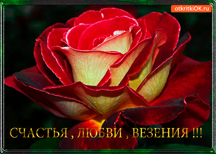 Счастья, любви и везения