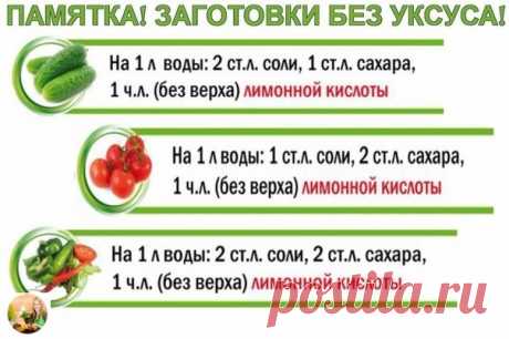 САДОВАЯ ФЕЯ - Дача. Сад и Огород