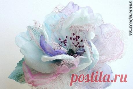 Цветы | Записи в рубрике Цветы | Заблудшая Душа Шизы aka ЗаДуШи