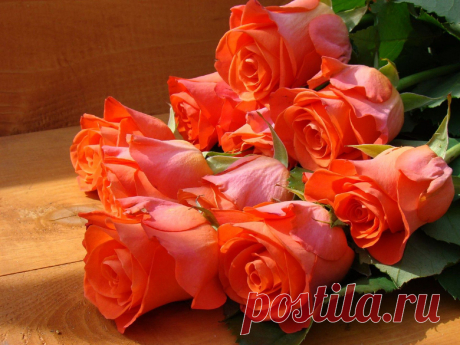 Roses-Bouquet-1536x2048.jpg (2048×1536)