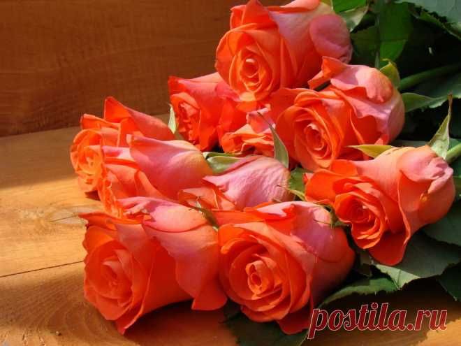 Roses-Bouquet-1536x2048.jpg (2048×1536)