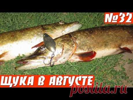Ловля щуки выпуск 32. Очередная летняя рыбалка на спиннинг, на новую китайскую блесну, колебалку, получилась интересной, мелкие щуки почти все сорвались, поймал две хорошие, больше килограмма. Ловил со своей стационарной лодки,   Снасти: Спиннинг - Спиннинг Волжанка Метеор тест 10-35гр. 2,1м. Китайс...