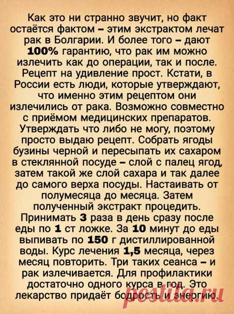 Бузина черная от рака