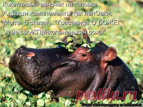 Красотка