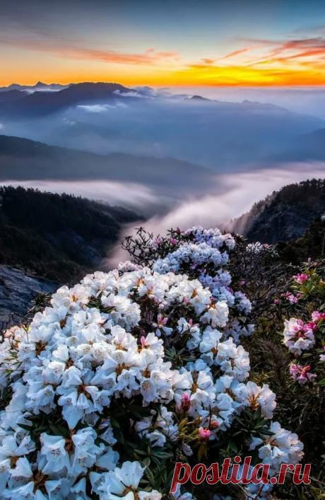 AmAnDo La ViDa - Google+