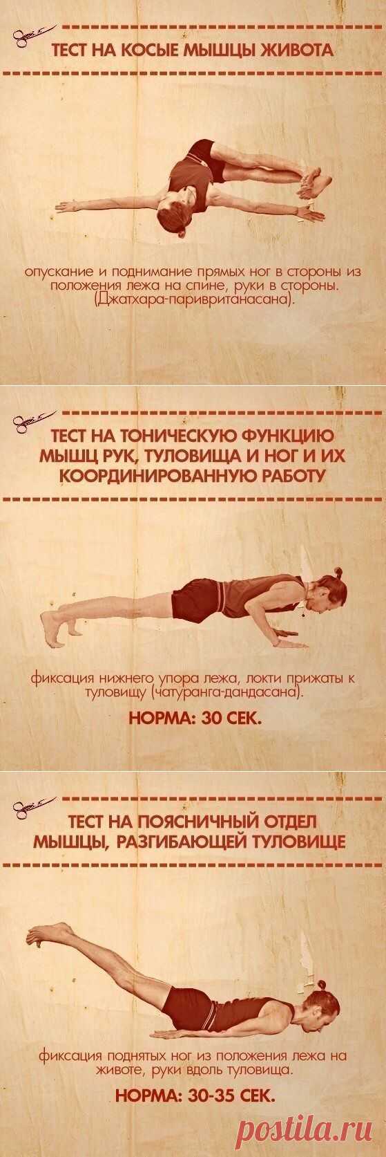 10 упражнений, которые покажут ваши слабые места