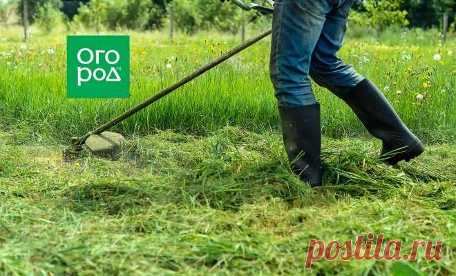 Кто должен косить за забором на даче и в деревне: разбираемся в законах | Полезно (Огород.ru)