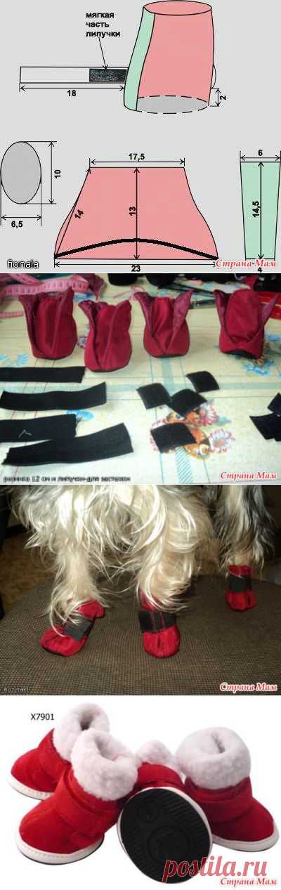 Сапожки для собаки