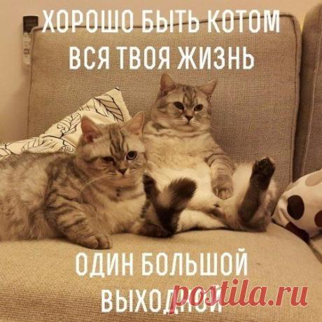 Интересные новости