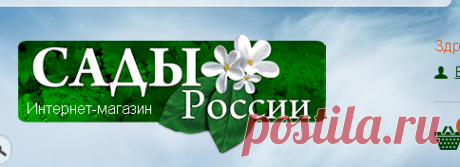 Семена - Многолетники - Семена и саженцы почтой от НПО Сады России (Сад и огород). Интернет-магазин посадочного материала.