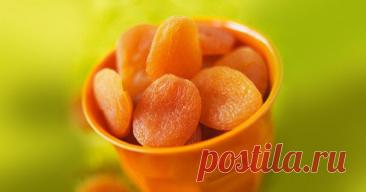 Лечебное голодание — Домашний уют