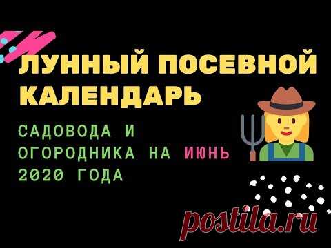 Лунный посевной календарь садовода и огородника на июнь 2020 года