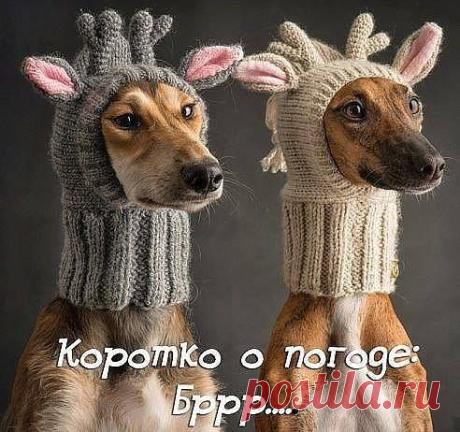 (3) Наталия Синицкая