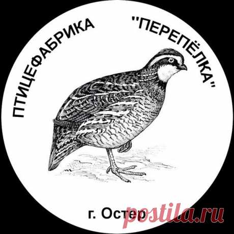 Польза перепелиного мяса / Занимательная реклама
