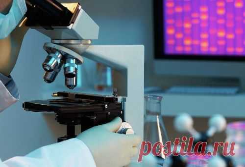 Ученые создали материал, из которого был сделан терминатор T-1000