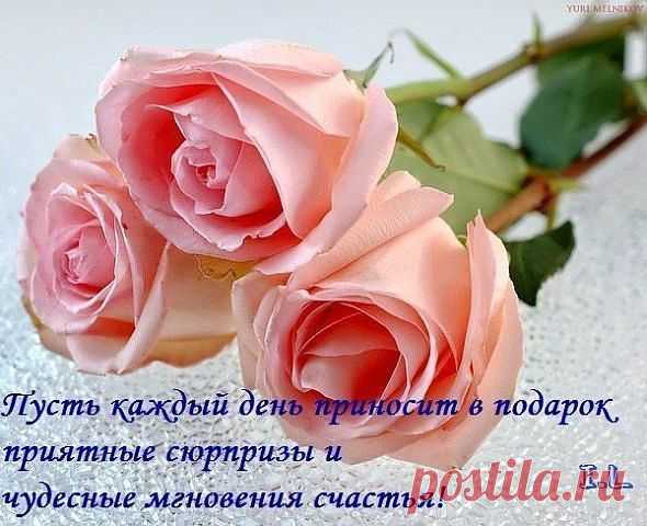 Плейкаст «ВО ВСЕЙ ВСЕЛЕННОЙ ТЫ ОДНА ТАКАЯ»