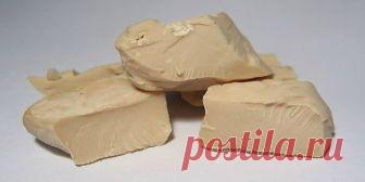 Дрожжи – отличное удобрение для растений! Совет моей соседушки по даче Вы знаете, что обыкновенные пекарские дрожжи - это прекрасный стимулятор роста, достаточно вспомнить выражение «растет как на дрожжах». Состав дрожжей богат минеральными веществами, органическим железом и микроэлементами. При растворении дрожжей в воде выделяются вещества, ускоряющие