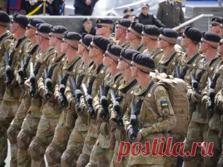 "Як серпом по ... серцю": Білоруський погляд на парад до Дня Незалежності України Український парад викликає клубок у горлі, а білоруський - гірку іронію. Про це пише білоруський журналіст Світлана Калінкіна, передають Патріоти України. Далі - мовою оригіналу:. "Во-первых. Парад в Киеве проходил действительно торжественно. А это зна...