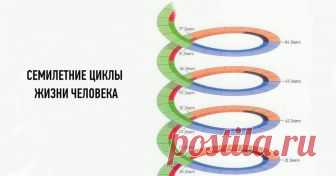 7-МИ ЛЕТНИЕ ЦИКЛЫ РАЗВИТИЯ ЖИЗНИ