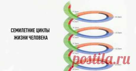 7-МИ ЛЕТНИЕ ЦИКЛЫ РАЗВИТИЯ ЖИЗНИ