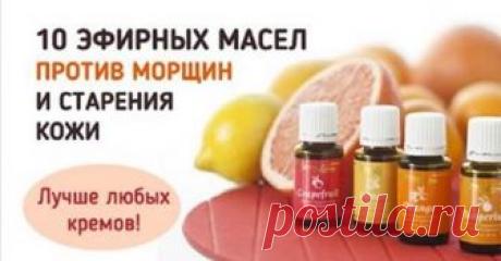 Используйте эти масла, чтобы всегда иметь гладкую и шелковистую кожу! С возрастом, в организме снижается выработка эластина и коллагеновых волокон, которые отвечают...