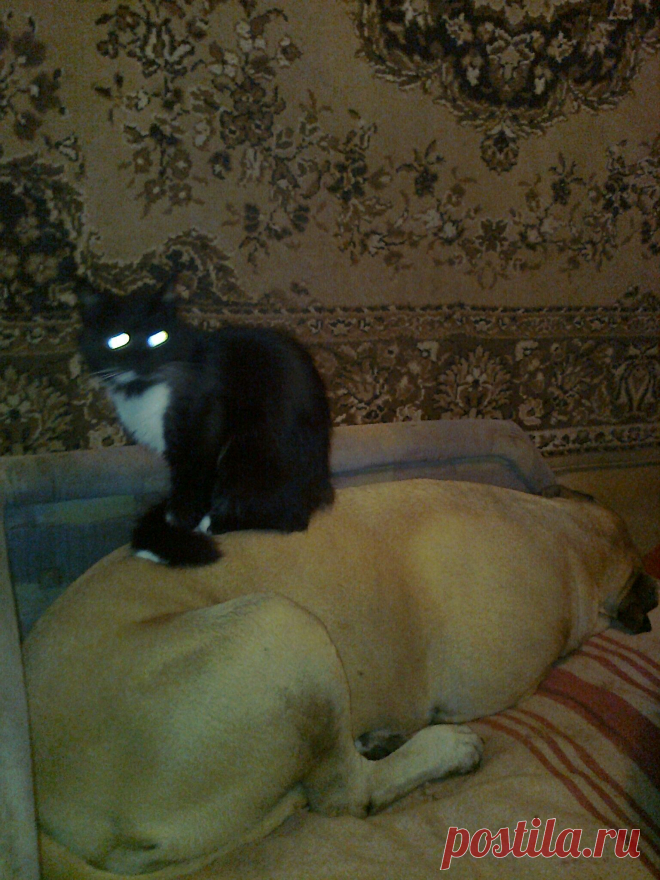 Так теплее, да и видно все!