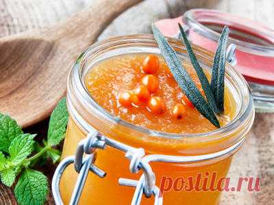 Облепиха: полезные и вкусные рецепты заготовок облепихи на зиму