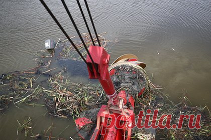 В России захотели повысить один штраф в пять раз. Штрафы за сокрытие, умышленное искажение или несвоевременное сообщение полной и достоверной экологической информации о загрязнении окружающей среды захотели повысить в пять раз. Для должностных лиц сумма штрафа вырастет с 6 до 30 тысяч рублей, для юридических — с 80 о 200 тысяч.
