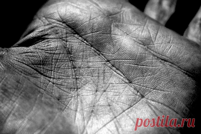 Как прочитать линии на руке? Хиромантия для начинающих