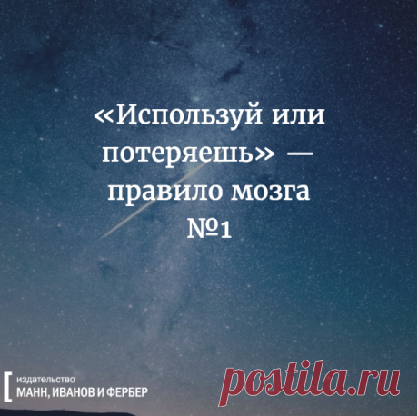 Правило мозга №1