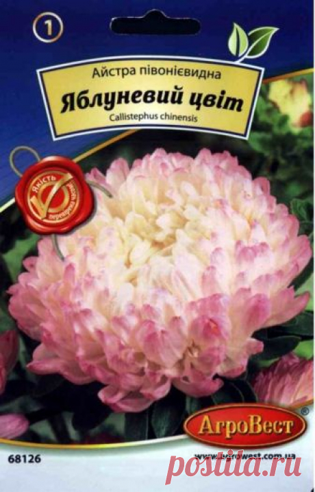 Квіти Айстра півонієвидна Яблуневий цвіт 0,3 г (АгроВест)  Для встиг плодоносности
Состав: сбалансированный комплекс натуральных веществ, стимулирующих процесс формирования женских цветов и плодов.
Способ применения:
При выращивании яблонь с целью хорошего вызревания древесины в апреле, в момент, когда прирост побегов станет не более 15 см, вносят сернокислый аммоний в количестве 1 г на 1 м2.
Аммоний действует как фунгицид и инсектицид.
Применение: разводится в небольшом количестве воды.