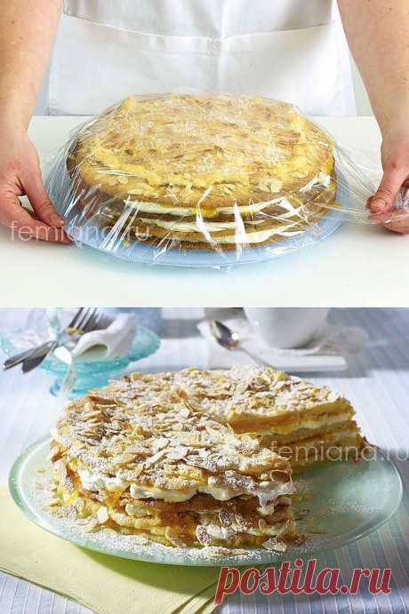 Вкусный абрикосовый торт со сметанным кремом (фото рецепт) | FEMIANA