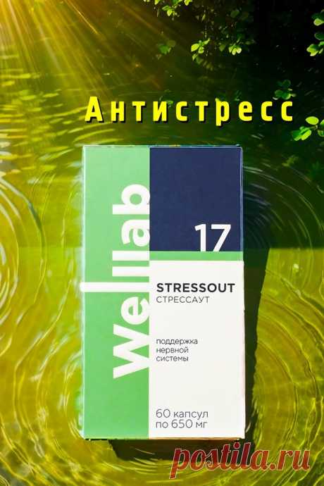 Изображение пина-истории