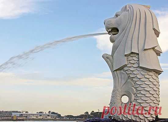 Как правильно пережить приступ тошноты | Men's Health Россия