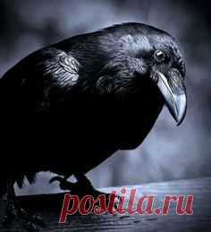 (30) Pinterest