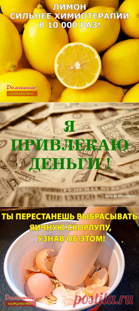 Яичная скорлупа на 90 % состоит из высококачественного кальция