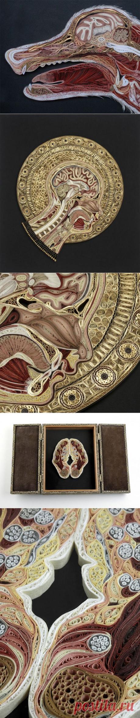 Винтажная аномалия / Я - суперпупер