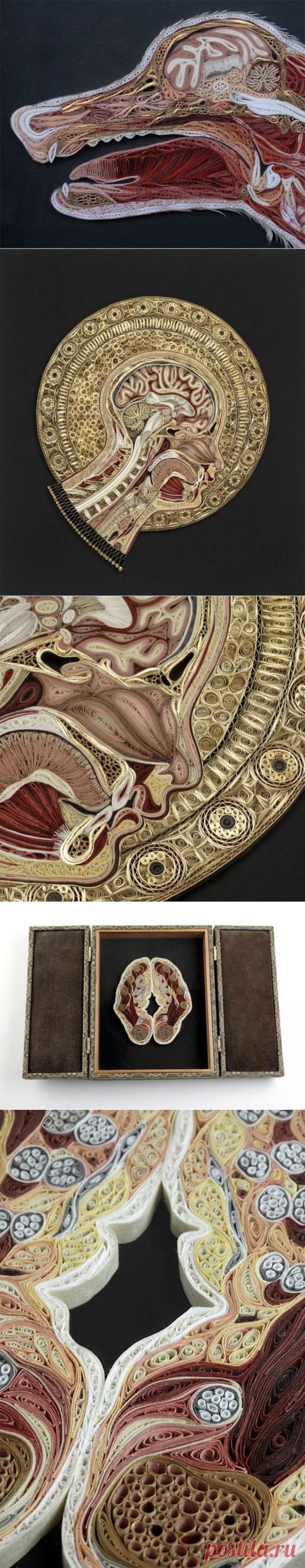 Винтажная аномалия / Я - суперпупер