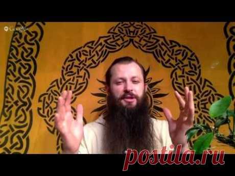 Как говорить с растениями? | Сайт видео - аудио сюжетов о развитии личности