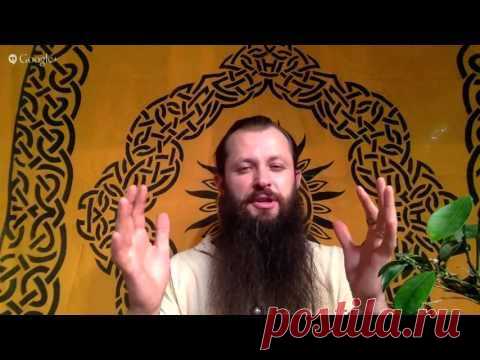 Как говорить с растениями? | Сайт видео - аудио сюжетов о развитии личности