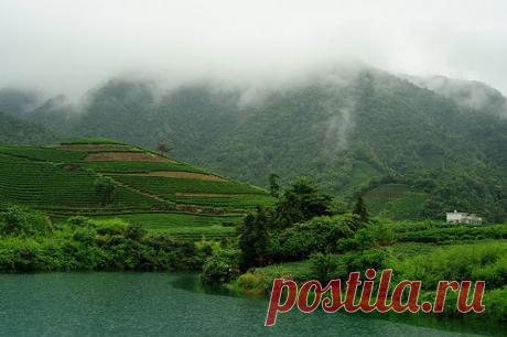 20120627_104733 | Flickr - Photo Sharing!