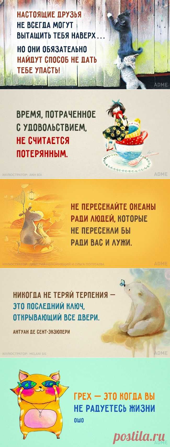 Забавные открытки на злободневное))) | Варварушка-Рукодельница